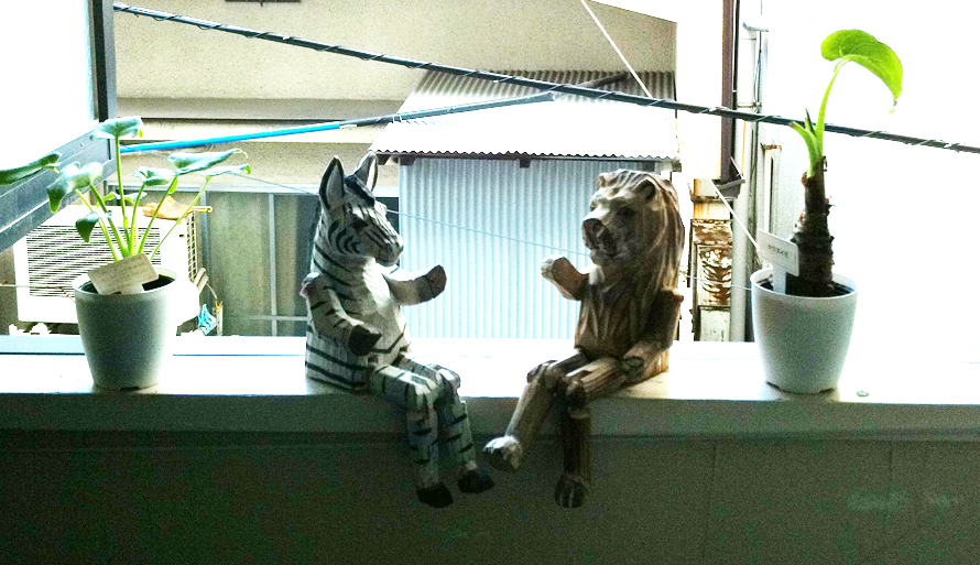 simaumaraion simaumaraion